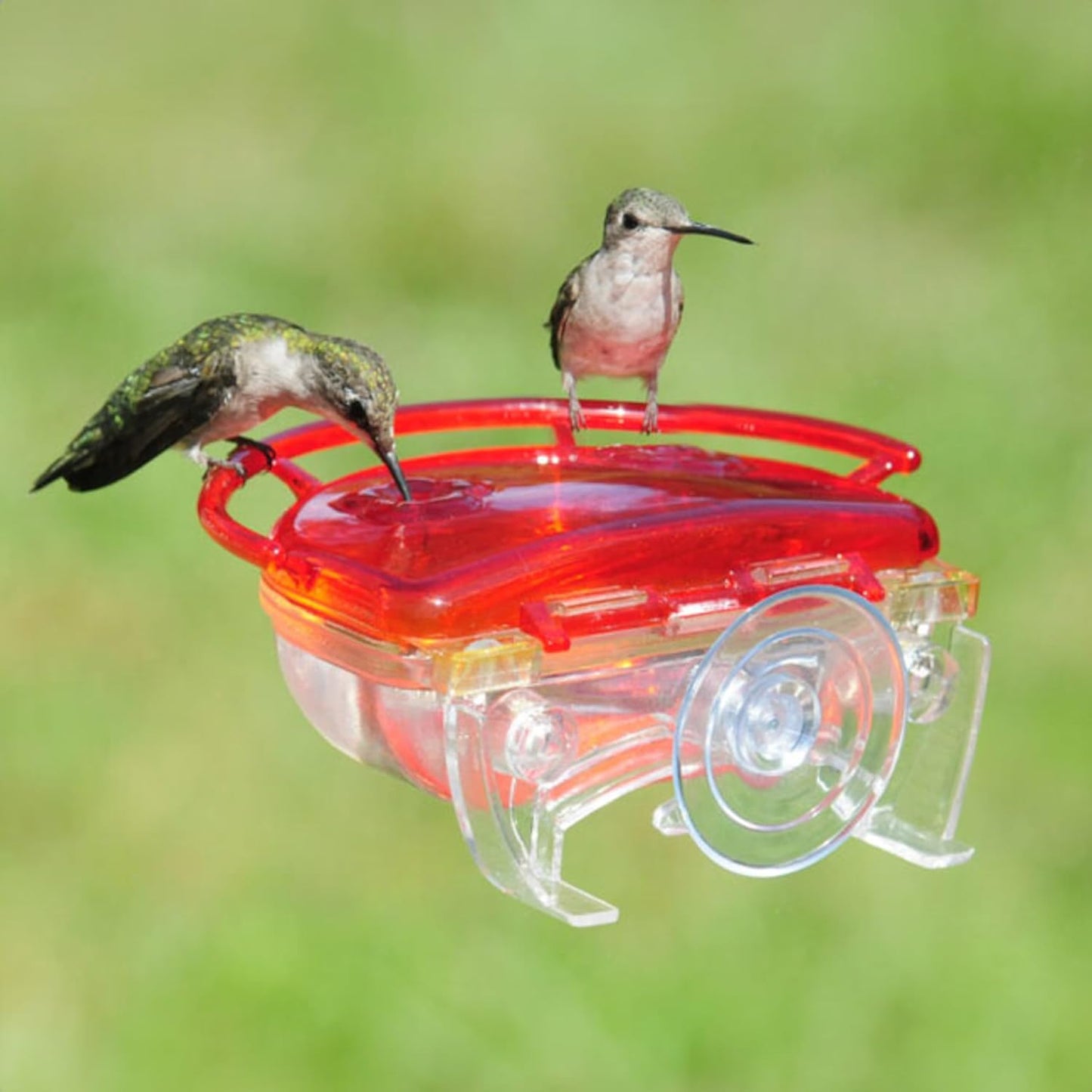 Aspects ASPECTS437 The Gem Window Hummingbird Feeder