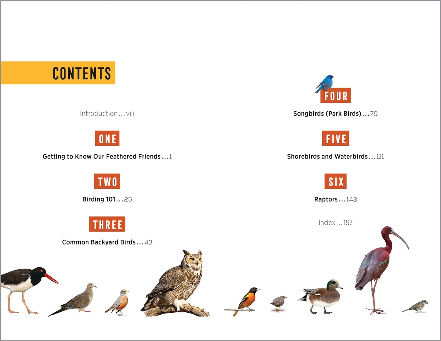 North American Bird Watching for Beginners: Field Notes on 150 Species to Start Your Birding Adventures (Bird Watching Adventures)