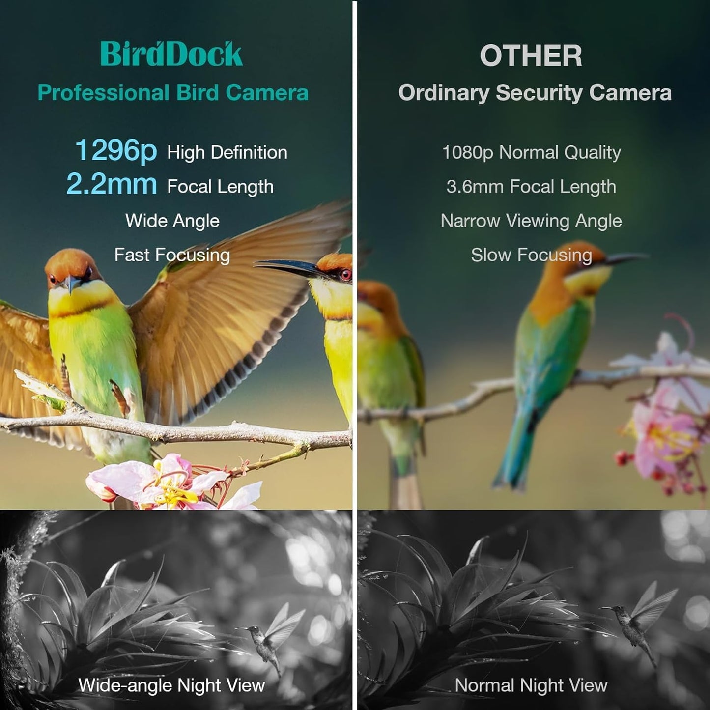 1296P HD AI Identify Smart Bird Feeder with Camera,1296P HD AI Identify Wild Watching Camera, Auto Capture Videos & Motion Detection,Gift for Bird Lover (2.4G HZ WiFi)(Blue)