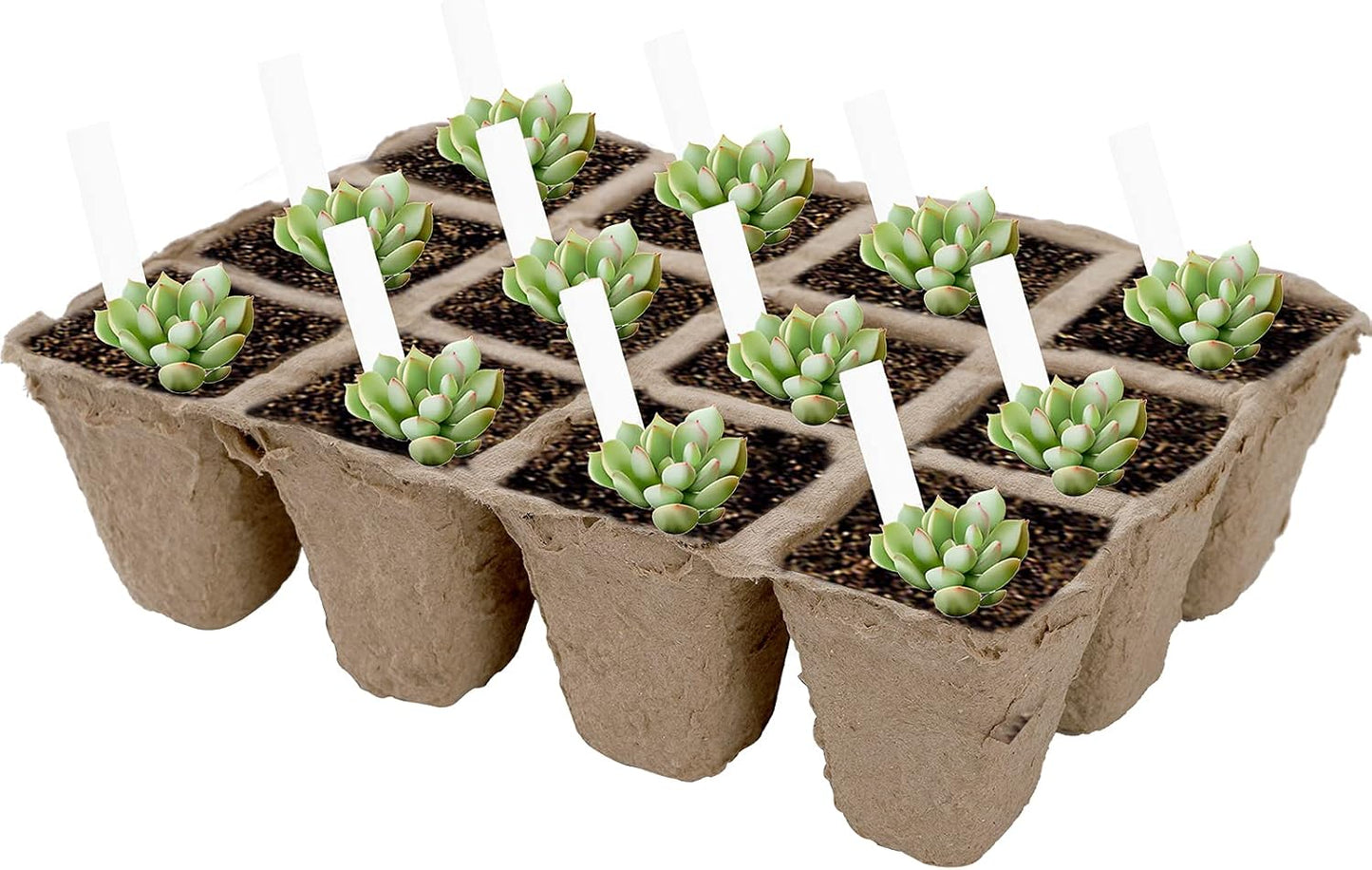 Jucoan 40 Pack Peat Pots Seed Starter Trays, 480 Cells Germination See