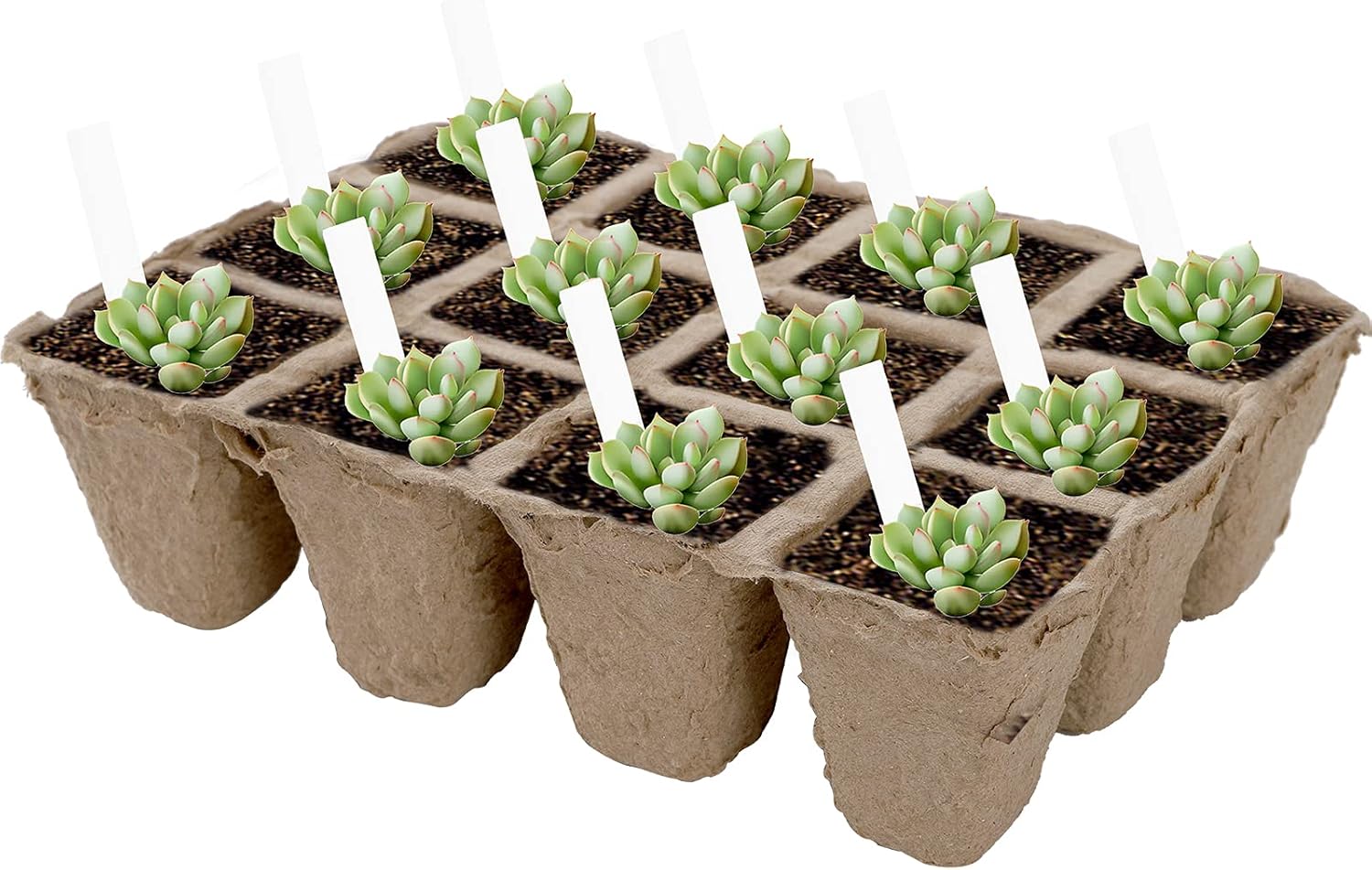 Jucoan 40 Pack Peat Pots Seed Starter Trays, 480 Cells Germination See