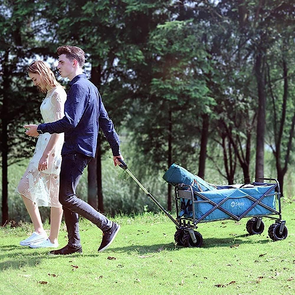 Handcart, Folding Portable Shopping Cart with Canopy, Trolley Cart Heavy Duty Wagon, Children's Luggage Cart for Outdoor/Camping/Fishing/Mall, Load: 100Kg