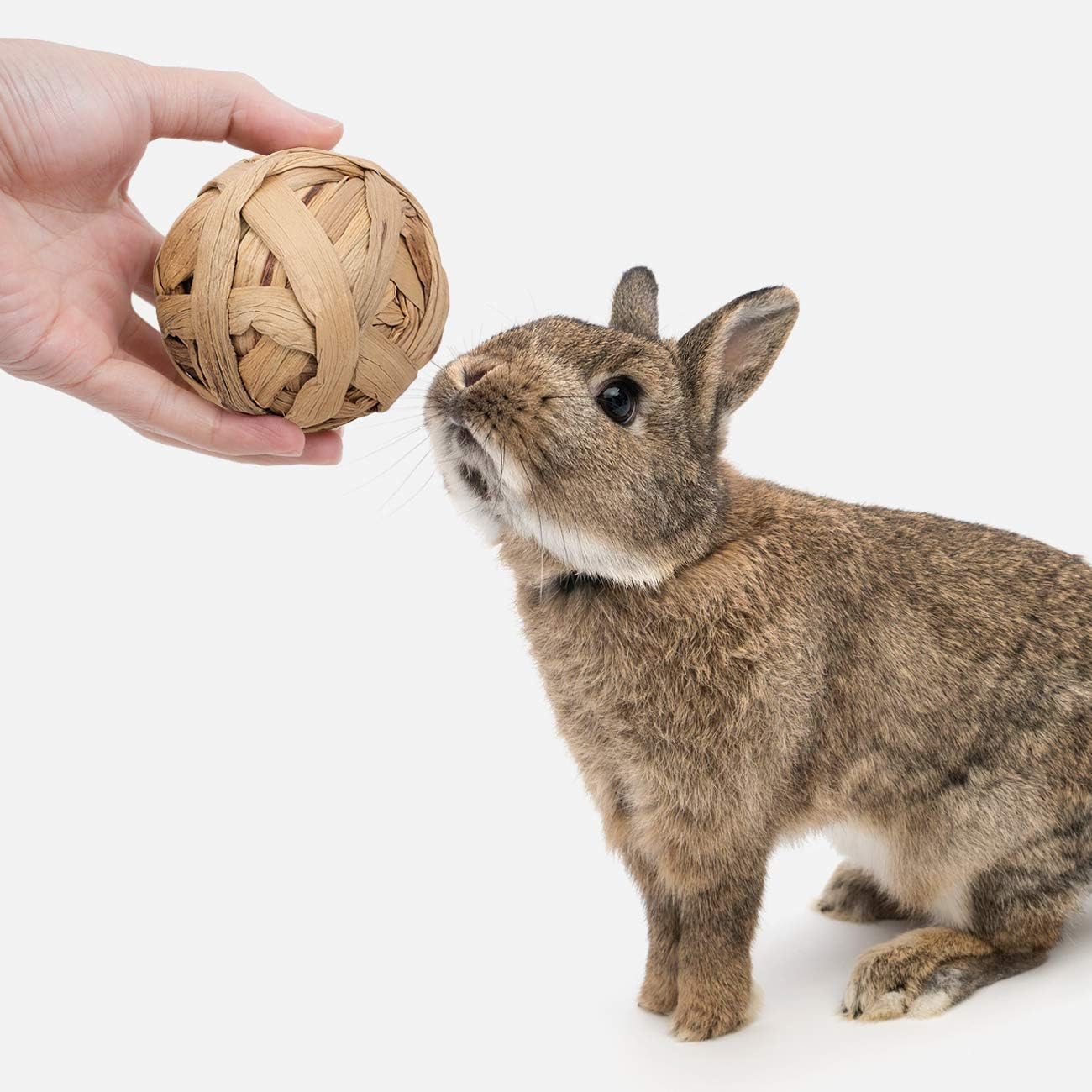 Niteangel Natural Chew Activity Toys Fun Safe Hay Grass Pet Balls for 