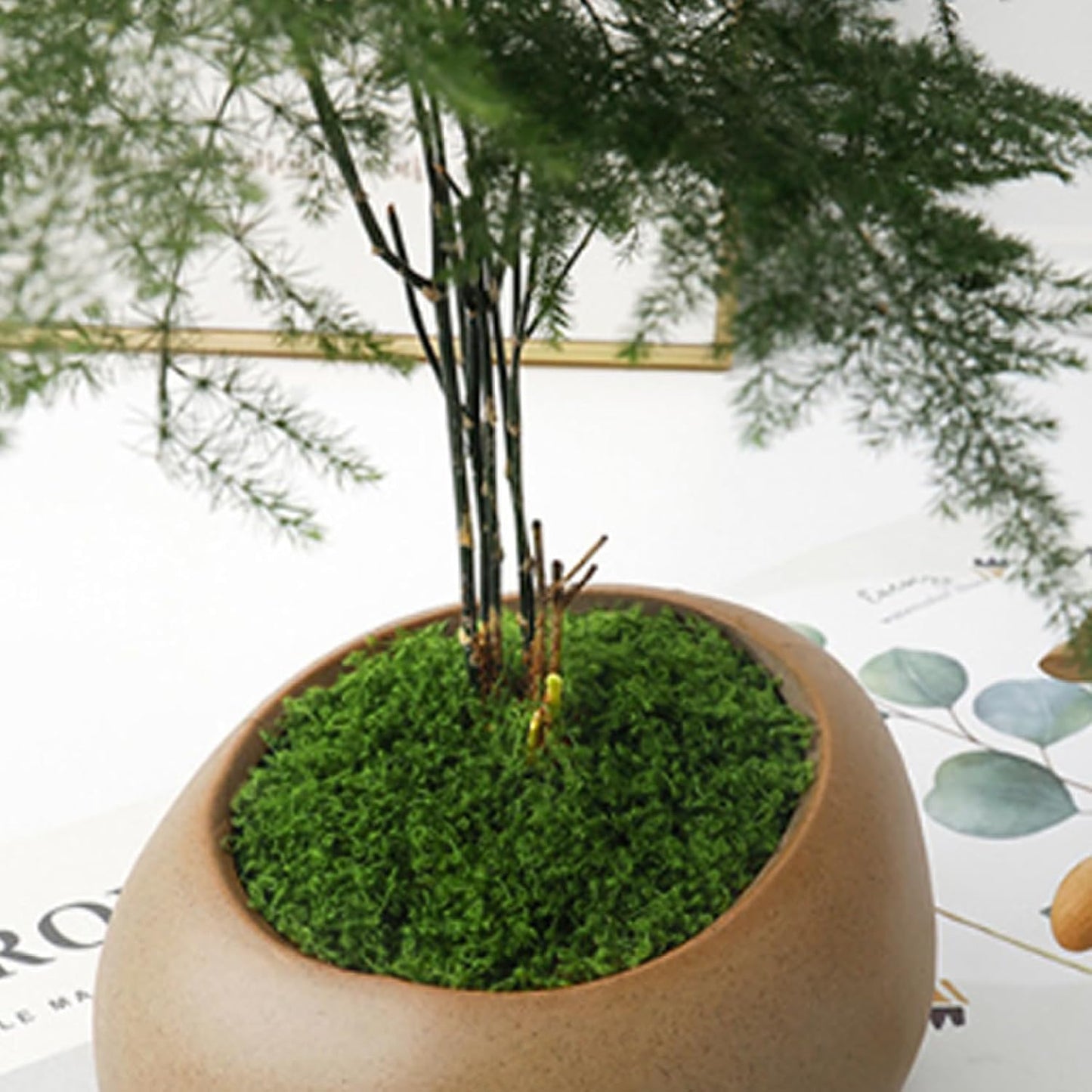 Fake Moss 50g Plastic Artificial Moss Realistic Looking Faux Moss, Natural Fake Green Lichen Plants for Plant Pot Garden Patio Decoration, Dark Green, Artificial Plants