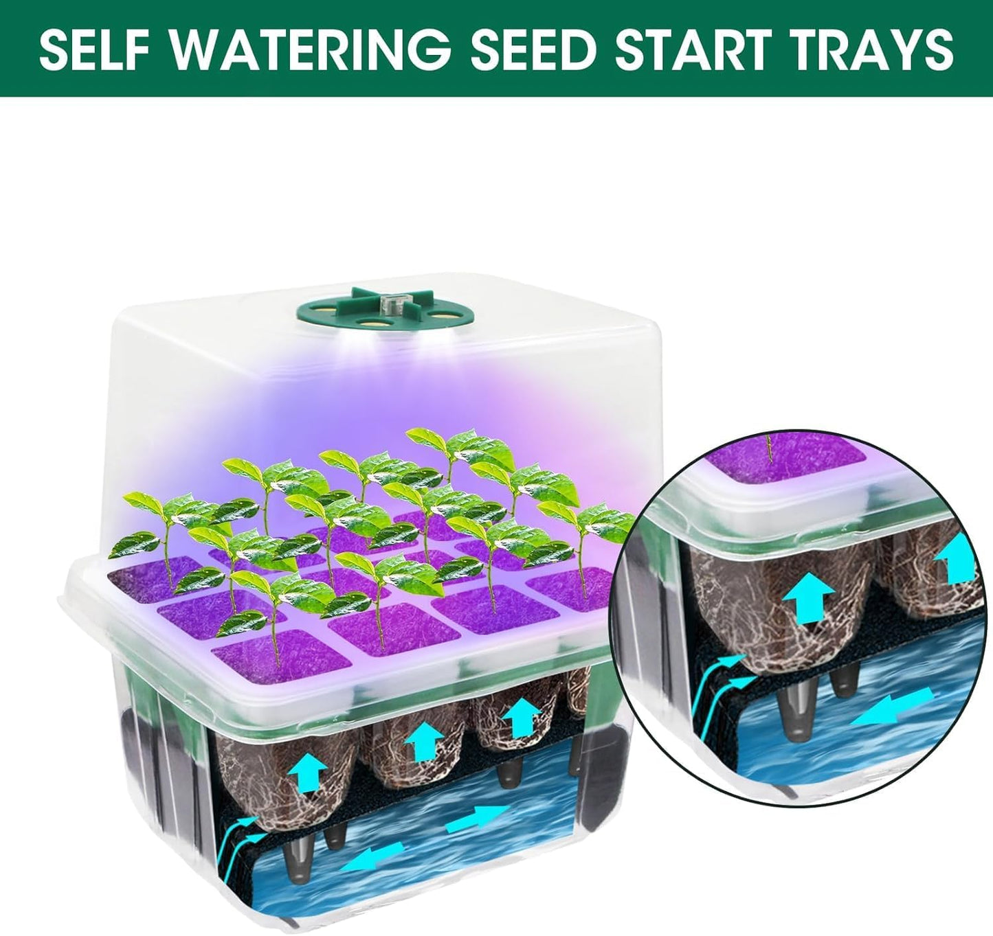 Seed Starter Tray with Grow Light,5 Pack 60 Cells Seedling Tray Kit Re