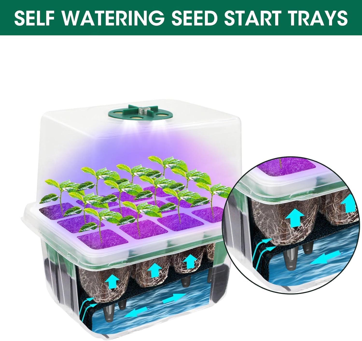 Seed Starter Tray with Grow Light,5 Pack 60 Cells Seedling Tray Kit Re
