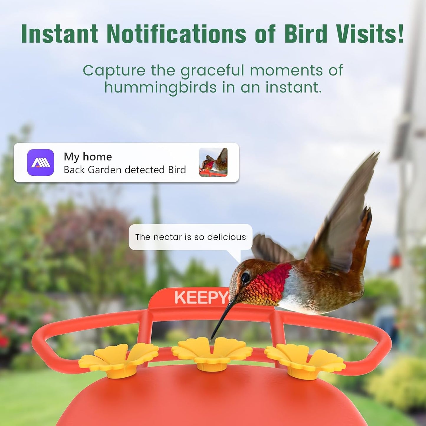2.5K Hummingbird Feeder with Camera, Wireless Smart Bird Feeders for O