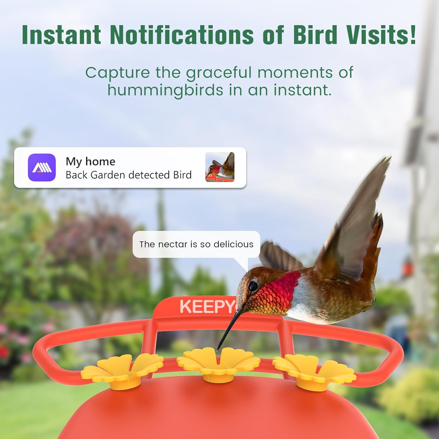 2.5K Hummingbird Feeder with Camera, Wireless Smart Bird Feeders for O