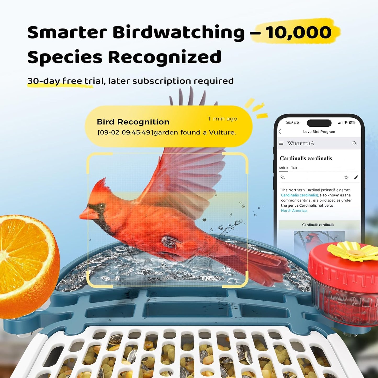 Bird Feeder with Camera 5MP Live Video, Solar Powered Smart AI Identify Birds Species, 2.4G WiFi Camera with Squirrel-Proof, 2-in-1 Bird Bath, Instant Arrival Alerts, Ideal Gifts for Birdlovers