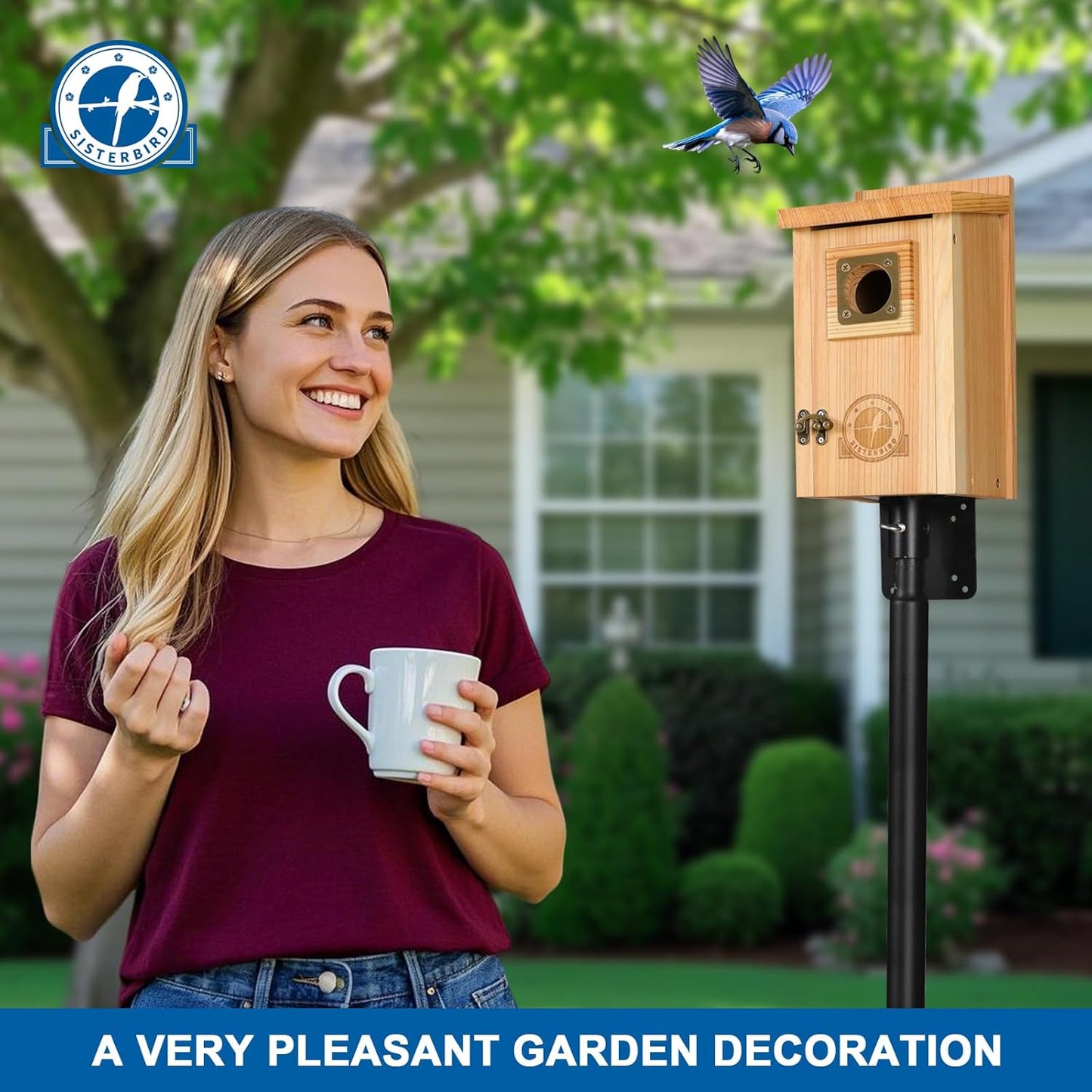 Bird Houses for Outside, Bluebird Houses for Outside, Wooden Birdhouses for Outdoors, Garden Decoration Bird House, Nesting Birdhouse, Bluebird Finch Swallow Wren Chickadee