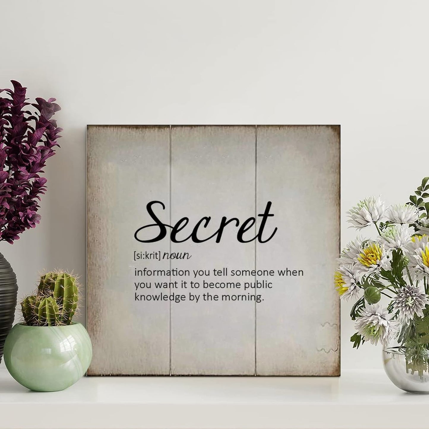 LITTLEGROVE SEEDS Vintage Wood Signs Secret Definition Typography Wooden Sign Secret Wall Decorations for Living Room Rustic Wall Art for Home Man Cave Door Porch Garden Party 8x8in