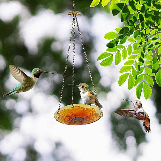 Bird Feeder - Floral Pattern Dish | Bird Feeding Station | for Outdoor