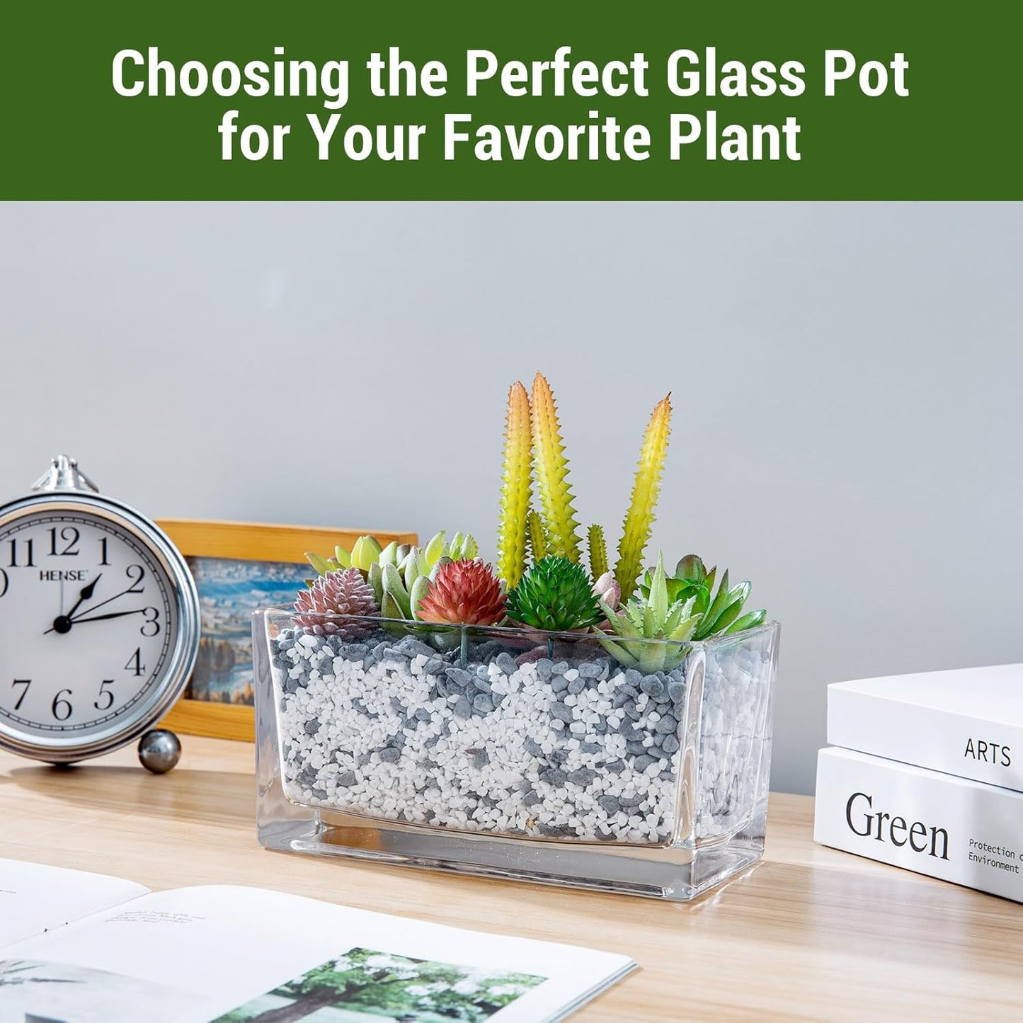 MyGift 7.8 inch Modern Rectangular Glass Vase, Trough Planter, Tabletop Glass Terrarium