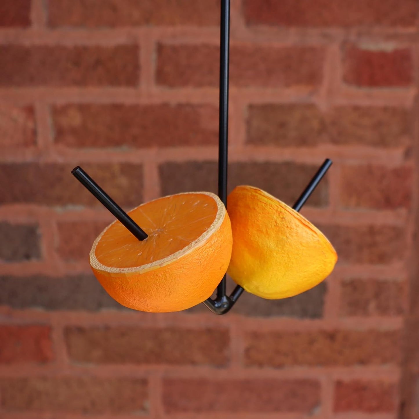 Erva Oriole Orange Fruit Holder | Simple Hanging Bird Feeder with Hook - Made in USA