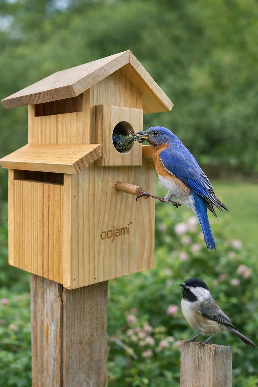 Bird House for Bluebird, Finch, Wren, Chickadee, Tree Swallow, Wild Birds, Woodpecker, Outdoor Nesting Box, Easy-to-Open (Unfinished DIY)