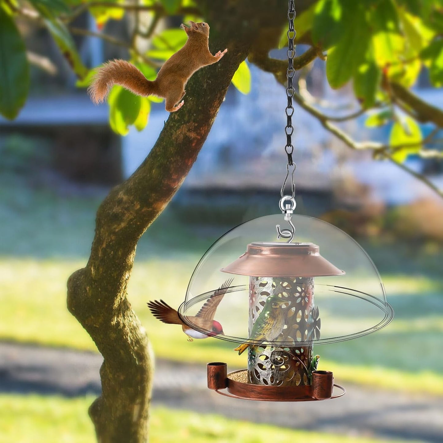 2 Set 11.8'' Bird Feeder Rain Guard, Clear Acrylic Round Squirrel Baffle Dome Hanging Hummingbird Feeder Protective Cover Weather & Predator Shield for Outdoor Garden Yard Use
