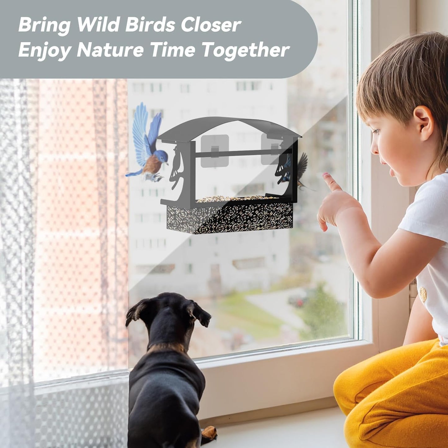 Window Bird Feeder with Heavy-Duty Adhesive Hooks for Outside,All-Season Metal Winter Bird Seed Feeder for Ultimate Window Viewing, 2-Pack (Black)