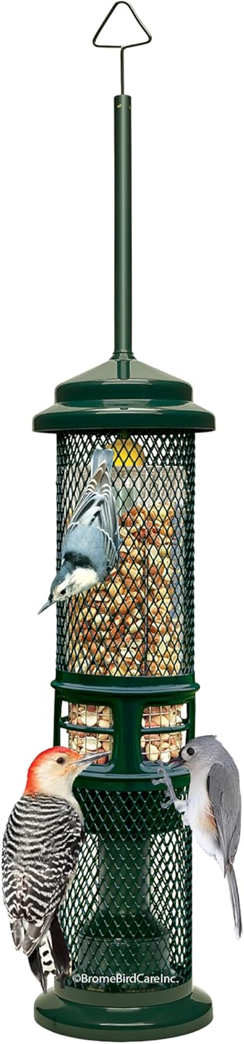 Squirrel Buster Nut Feeder Squirrel-Proof Bird Feeder for Nuts and Fru