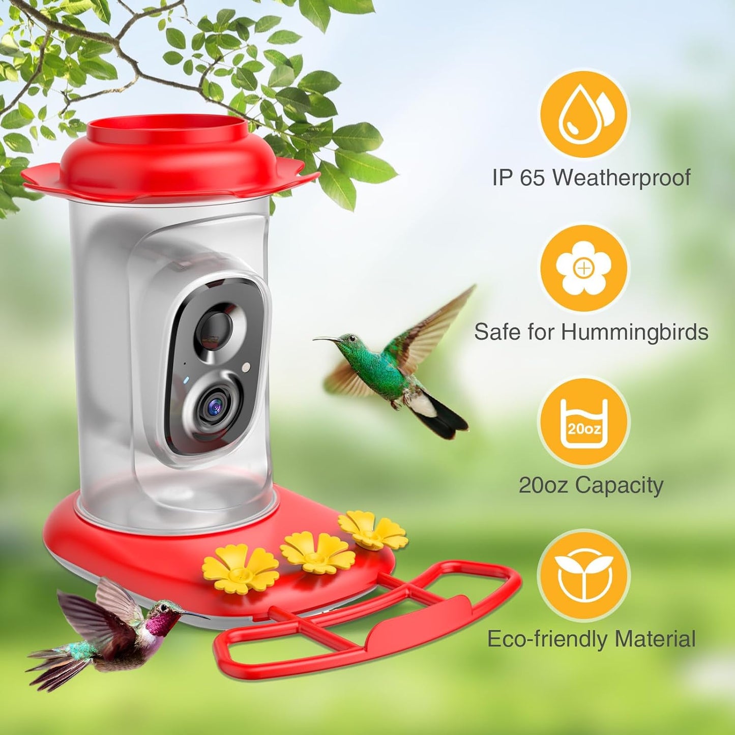 Hummingbird Feeder with Camera: Auto Capture & AI Bird ID, Wide Mouth 