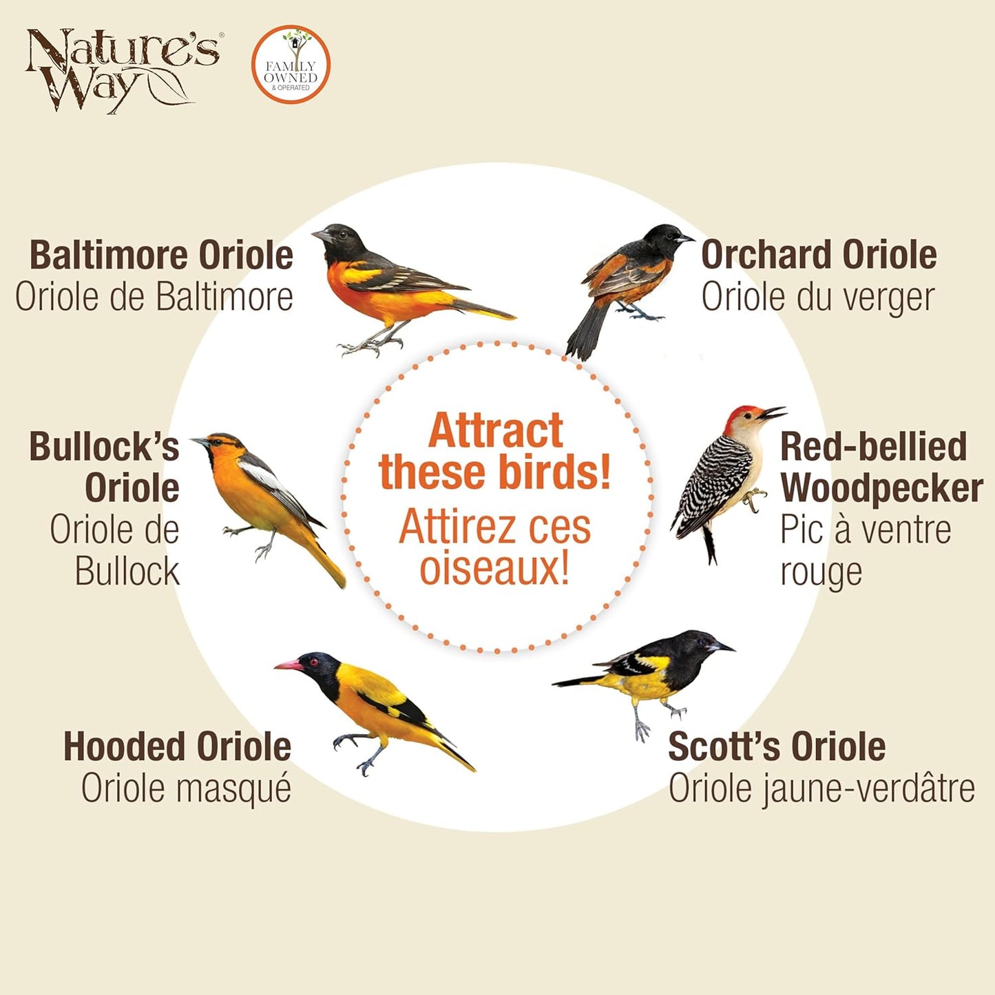 Nature's Way OFM1 Wire Oriole Feeder