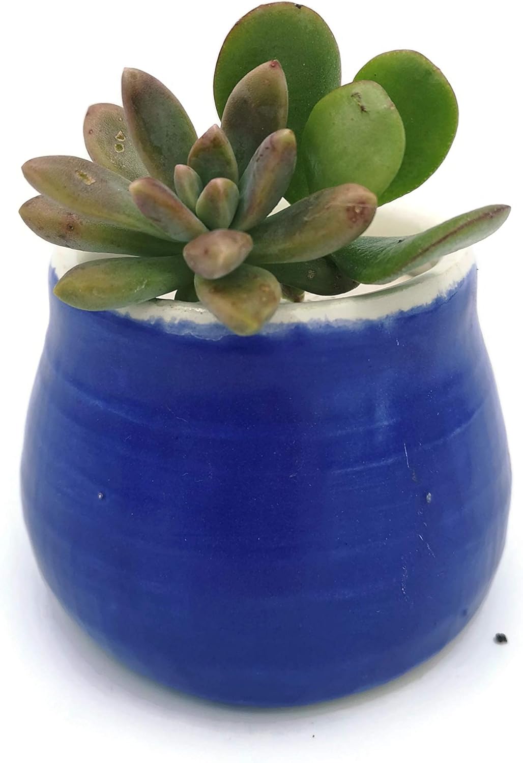Mini Succulent Planter Pot, Royal Blue Ceramic Decorative Vase for Cactus, Office Desk Accessories for Men