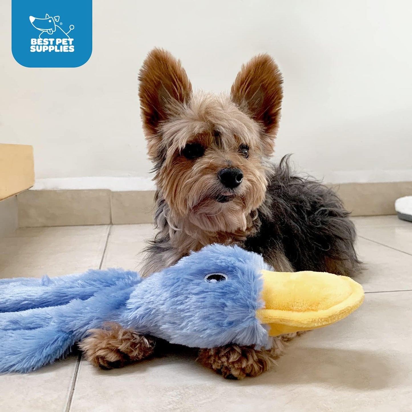 Best Pet Supplies Interactive Squeaky Dog Chew Toy, Ideal Dog Toys for