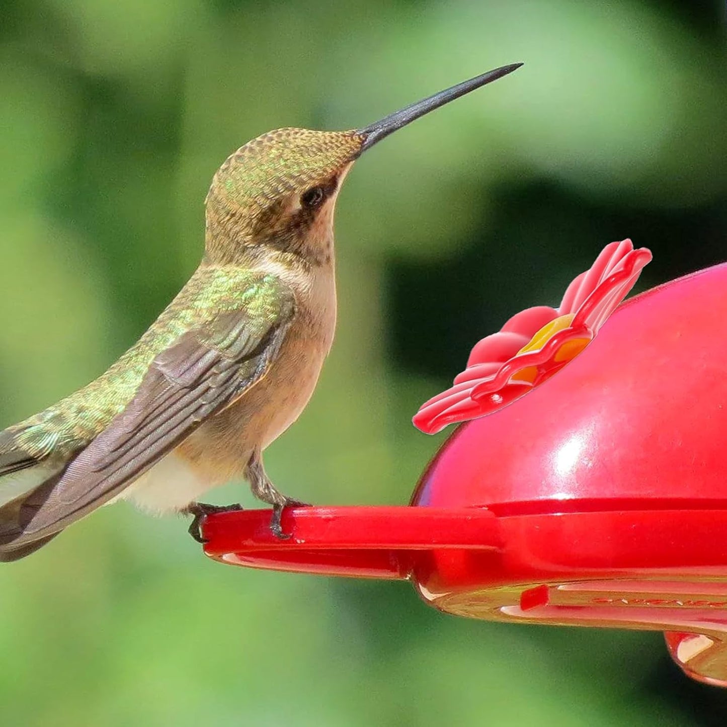 20 Pieces Red Hummingbird Feeders Replacement Flowers with 2 Cleaning Brush Pet Replacement Bird Feeder Replacement Parts Feeding Ports Bee Guards for Hummingbird Feeders for Outdoors Hanging Feeder