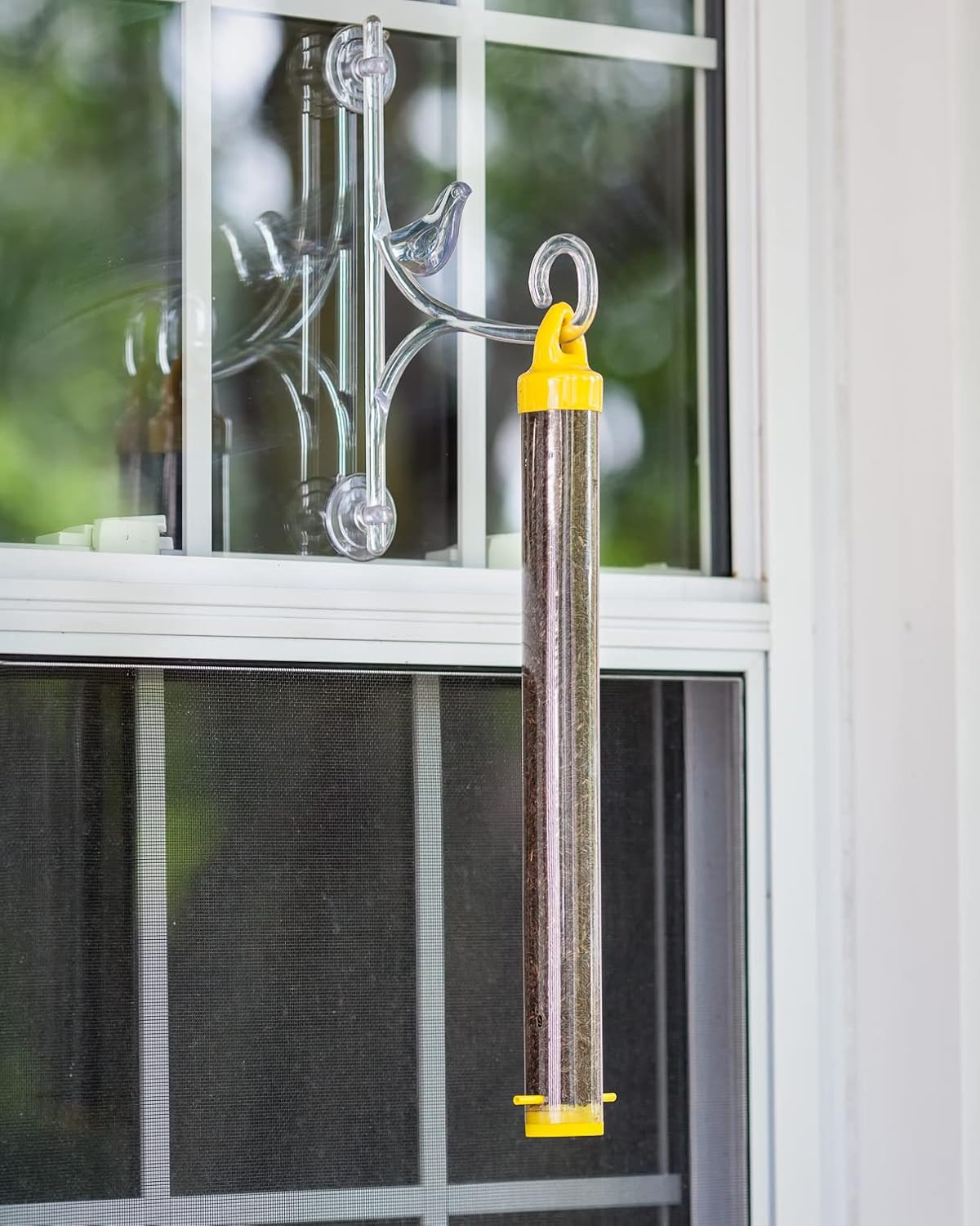 Mr. Canary Finch Tube Feeders, 4ct, Filled with 8oz Nyjer Seed, Bird Feeders Made in America by Workers with Disabilities, Feeds Finches, Chickadees,