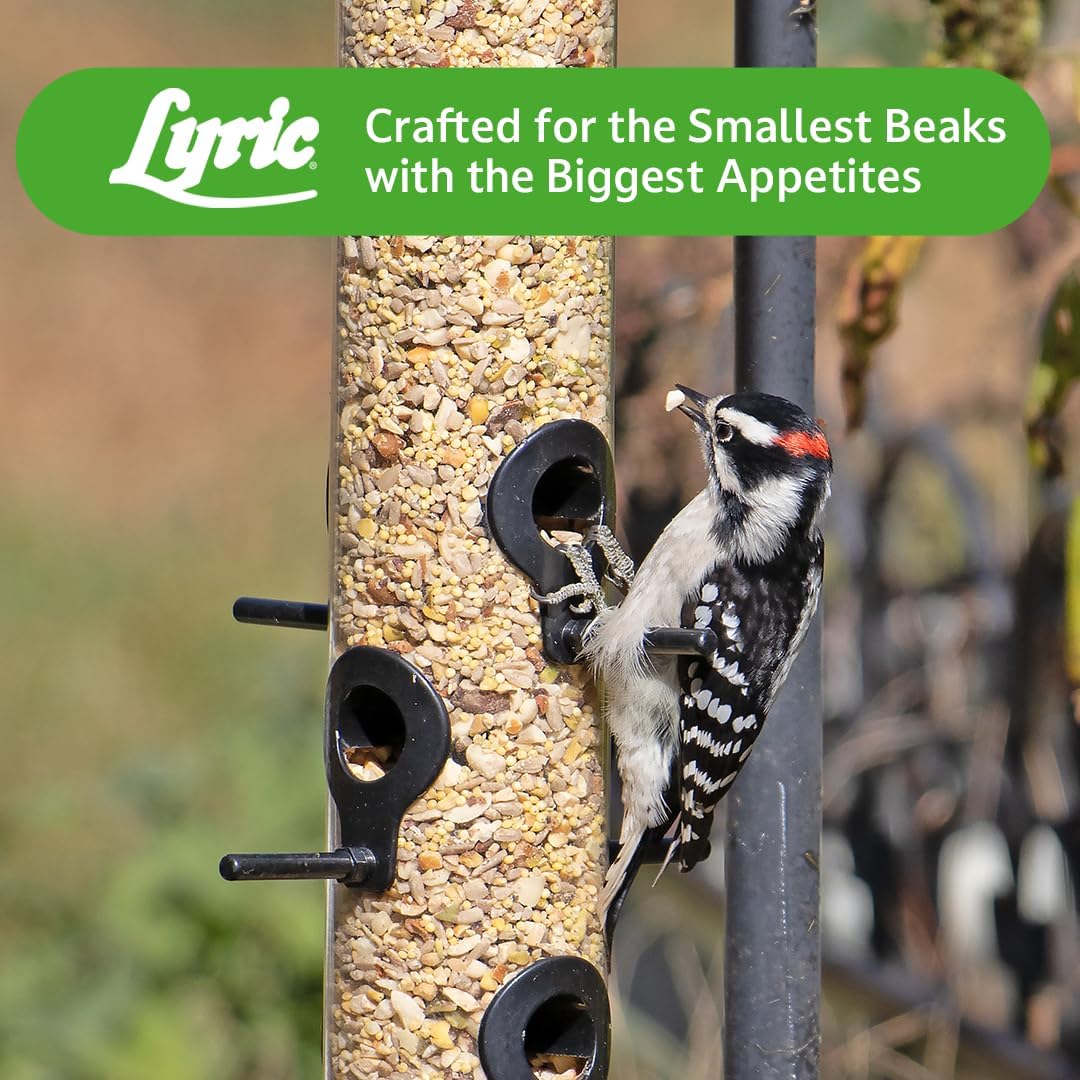 Lyric Peanut Pieces - Shelled Peanuts for Wild Birds 15 lb and Lyric F