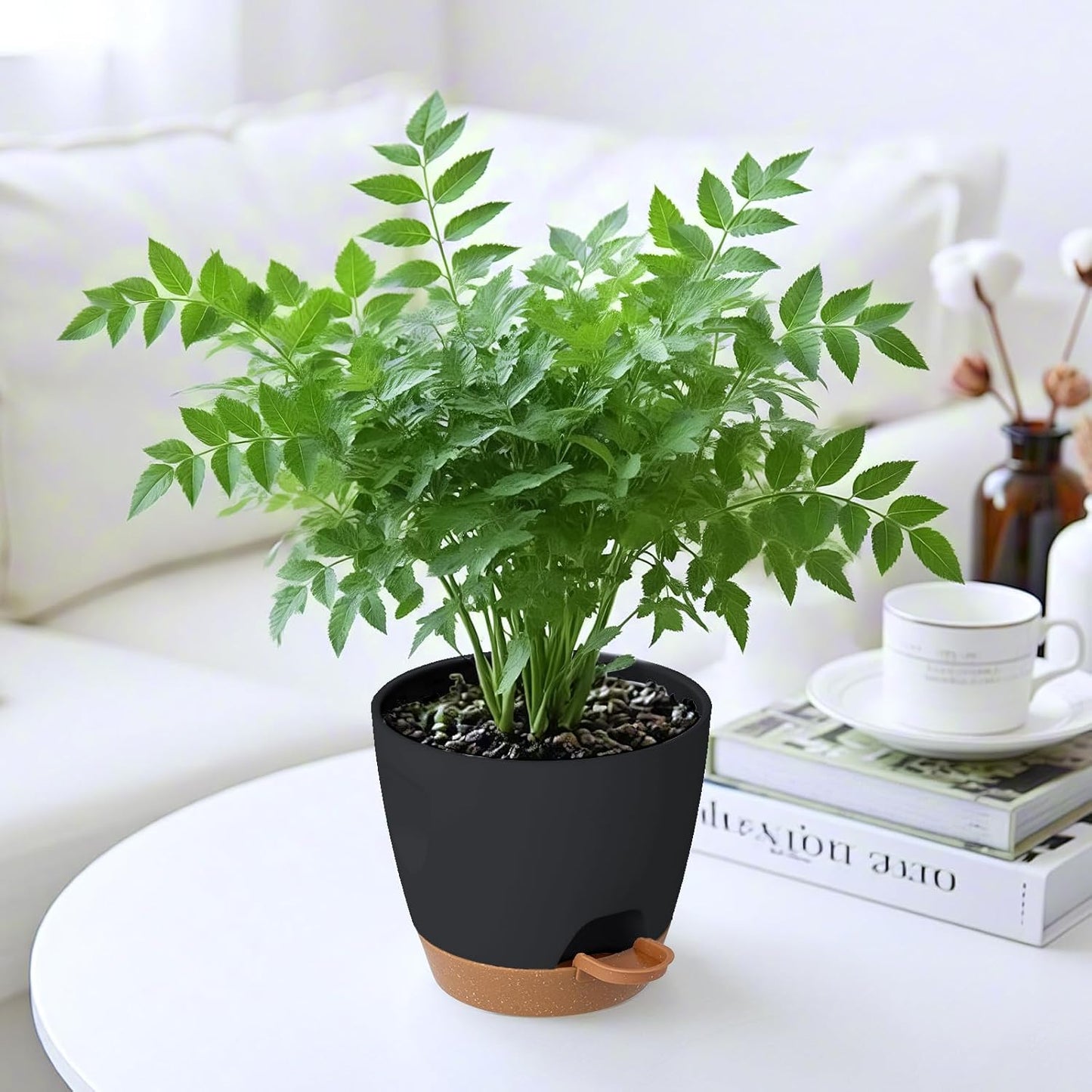 5-Pack Plant Pots with Drainage for Winter Care 7/6.5/6/5.5/5 Inch, Se