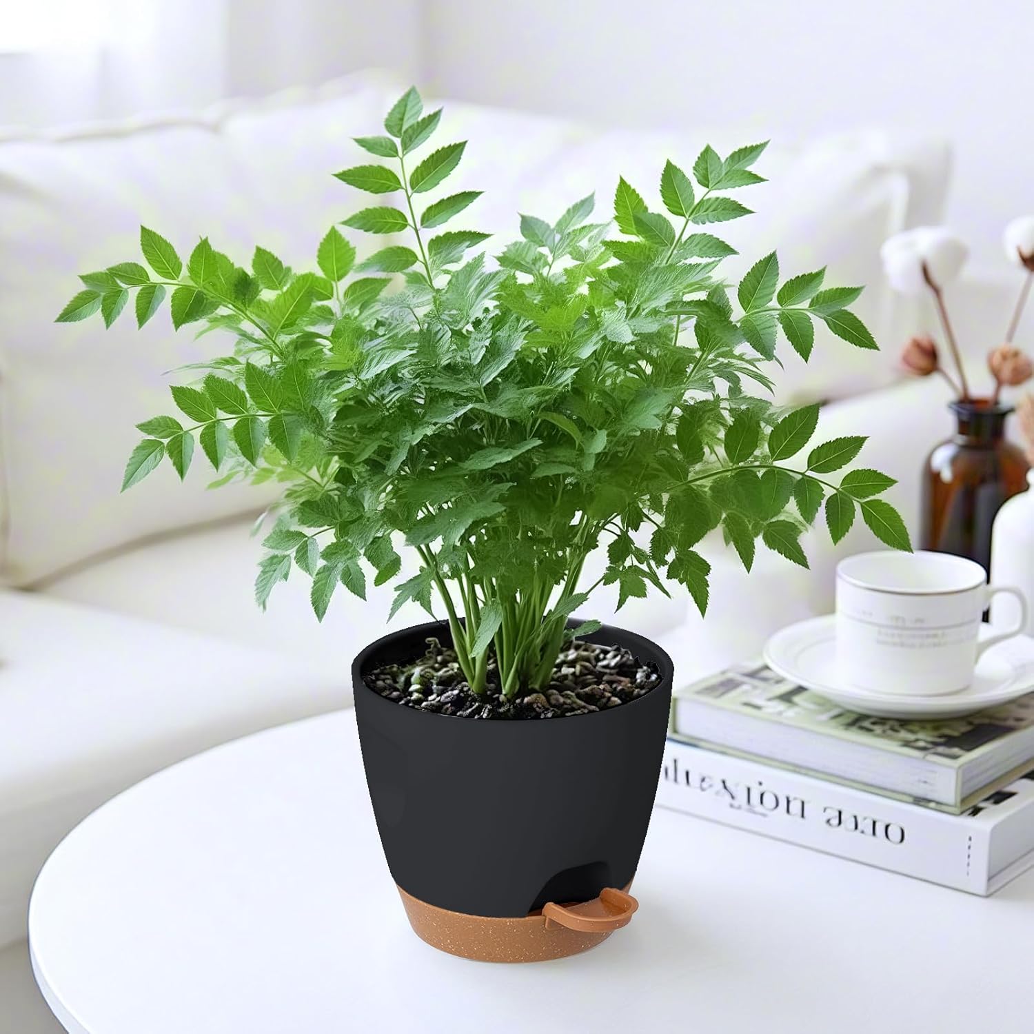 5-Pack Plant Pots with Drainage for Winter Care 7/6.5/6/5.5/5 Inch, Se