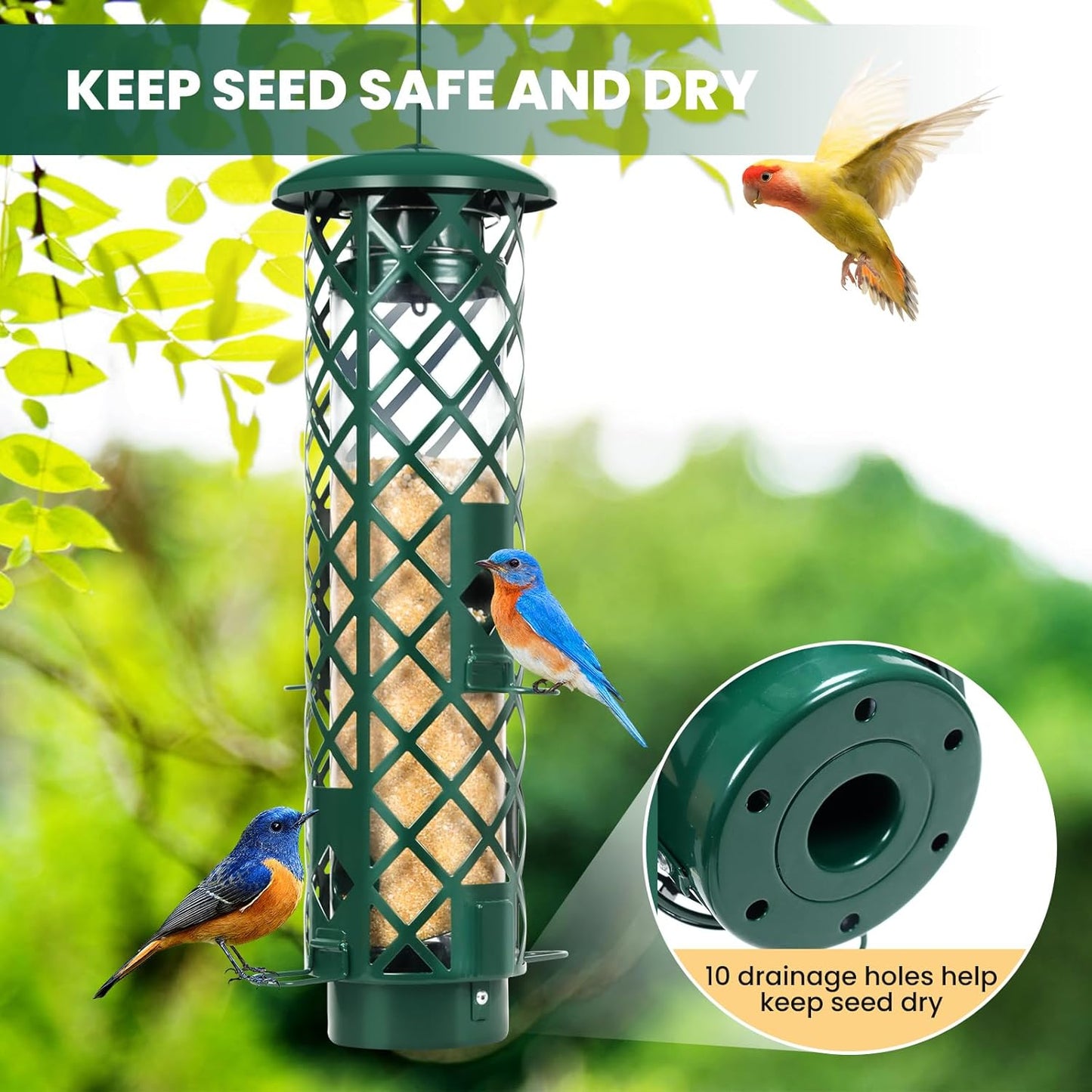 Squirrel Proof Bird Feeder for Outdoors, Weight-Activated Metal Hanging Bird Feeder, 3LB Large Capacity Wild Bird Feeder with Drainage Holes for Garden Patio Yard, Green