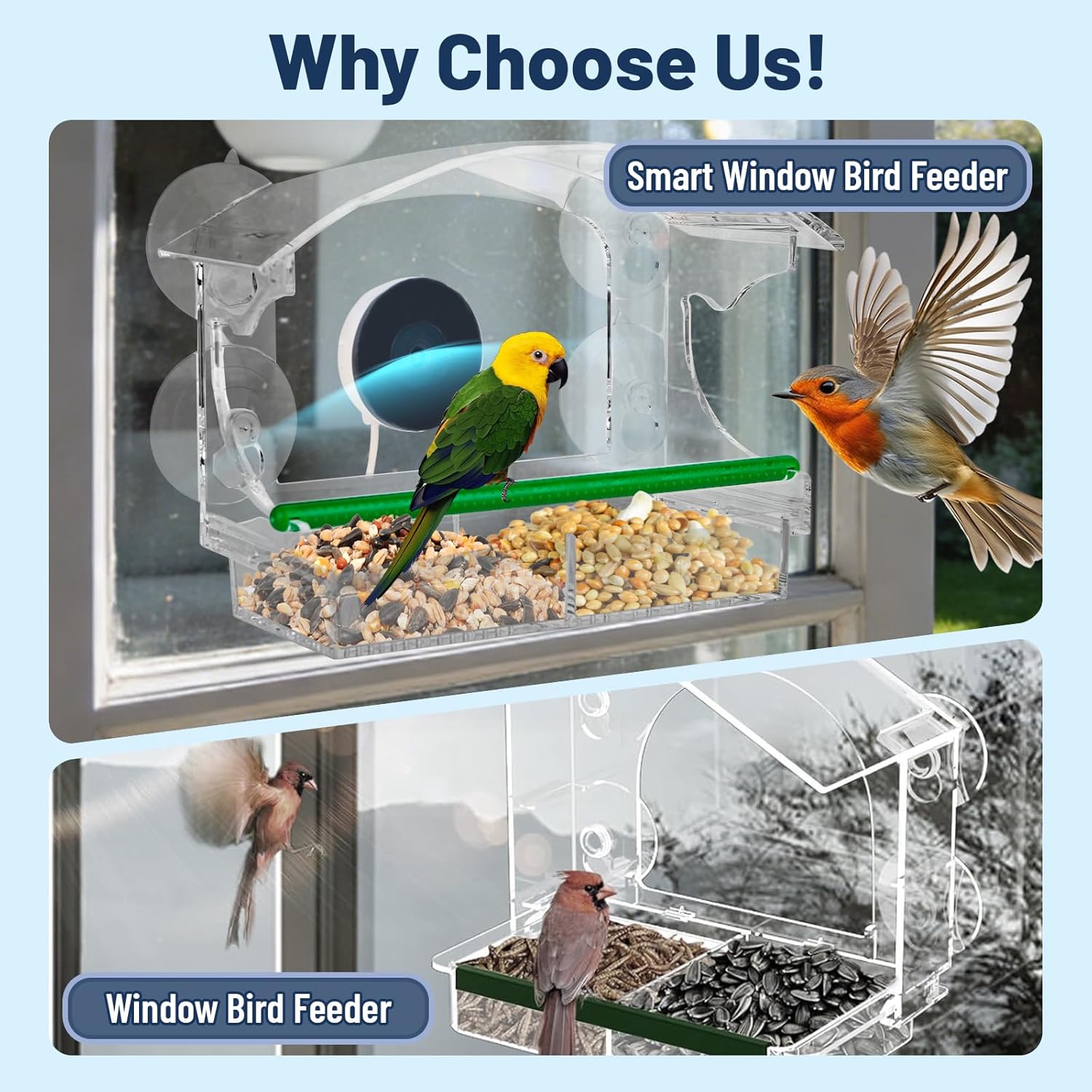 Smart Window Bird Feeder with Camera, 1080P HD Birds Feeder with Night