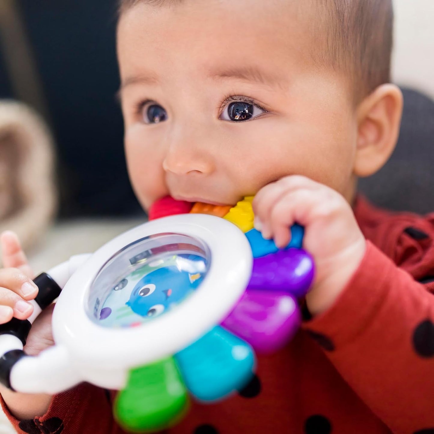 Baby Einstein Outstanding Opus The Octopus Sensory Rattle & Teether Mu