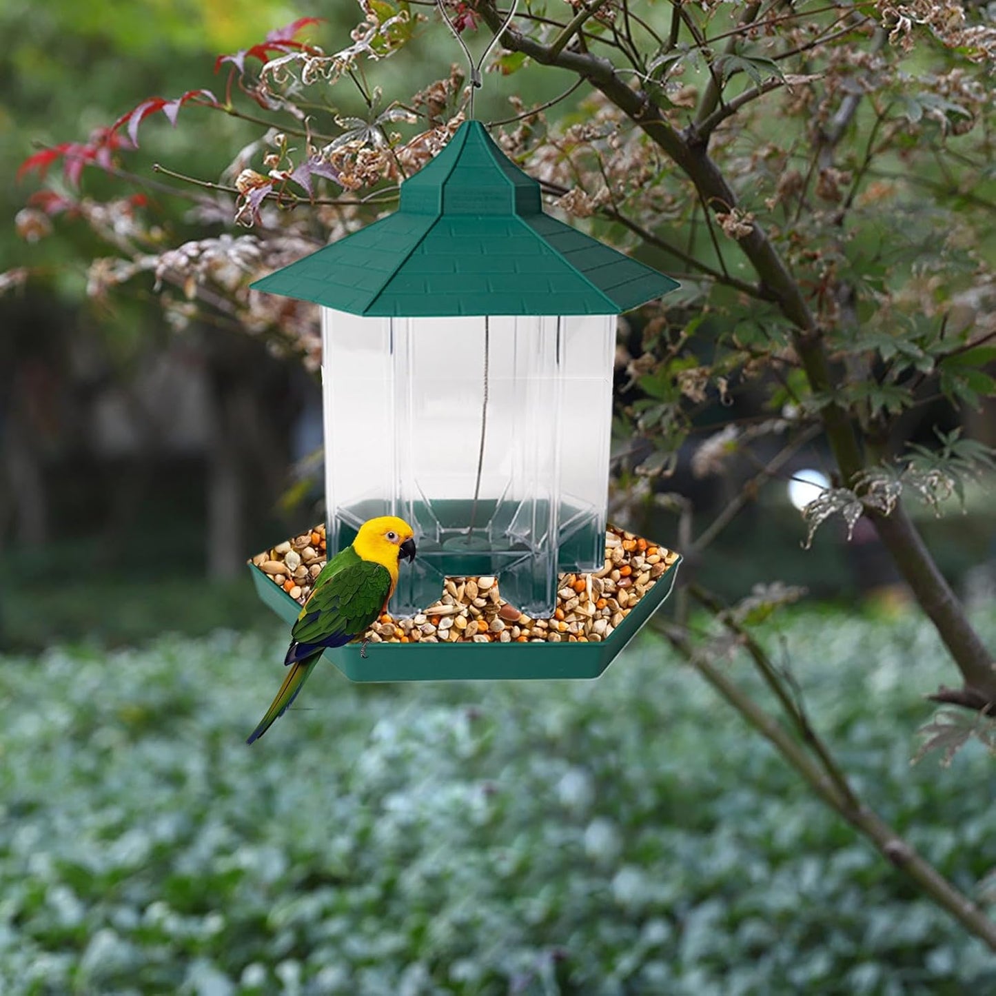 Bird Feeders Outside - Clear Gazebo Bowl, Suspending Station for Garden Wildlife, Transparent Seed Hub, Avian Hardware Supply with Six Ports, Outdoor Feeding Tool for Hosting Birds, & Viewing Nature