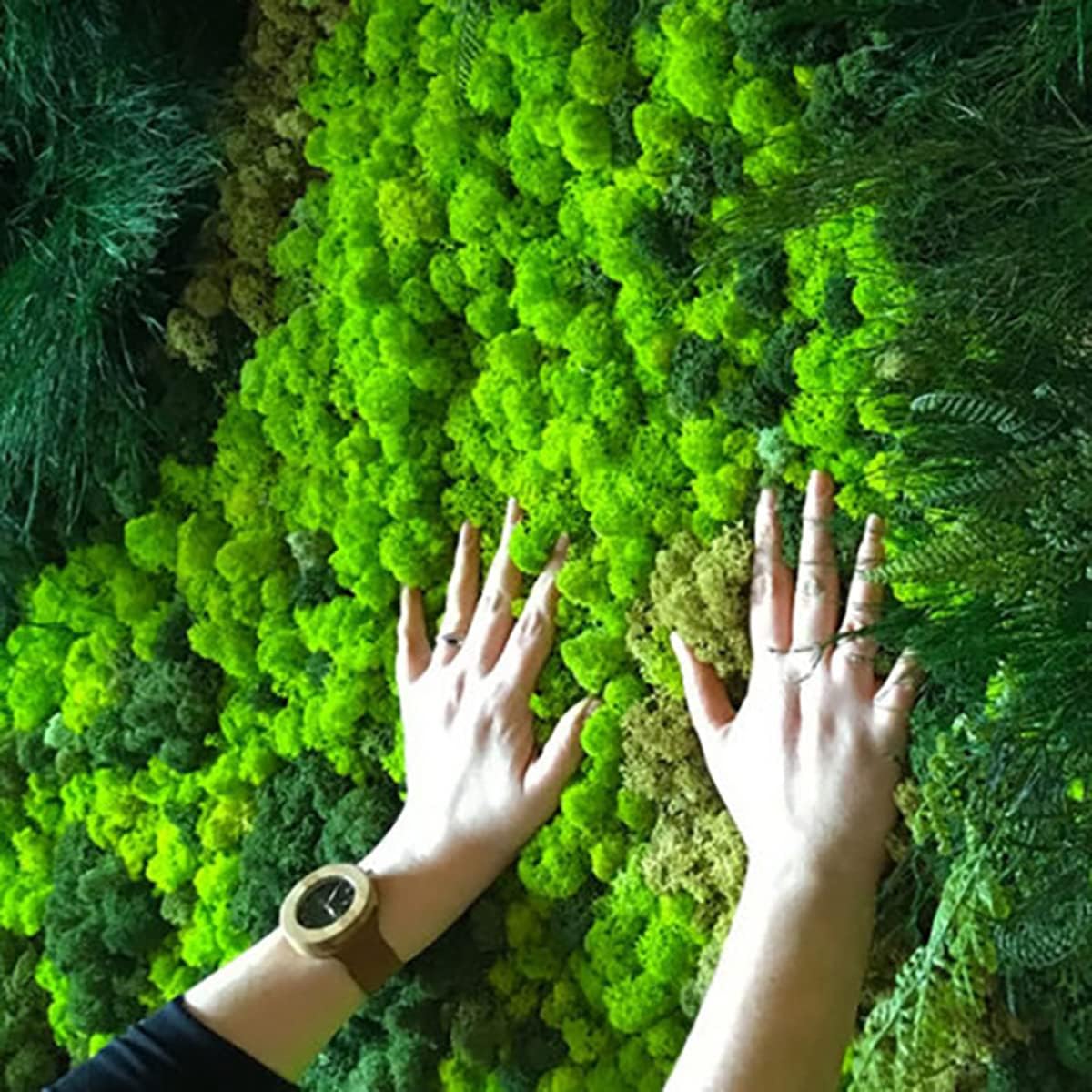 QueenBox® 40g Multi-Color Artificial Moss Fake Green Lichen Plants Imitation Decorative Moss for Home Wall Garden Outdoor, Reddish Brown