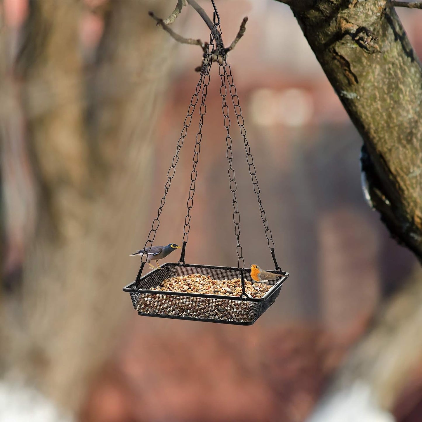 2 Pieces Metal Hanging Bird Feeder Tray, Mesh Bird Feeding Seed Tray Platform with Chains Outdoor Garden Decoration for Hanging Wild Backyard(Black)