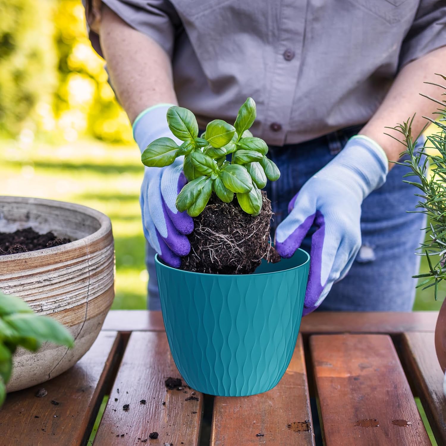 6 inch Plant Pots, 5 Pack Flower Pots with Drainage Holes and Saucers 