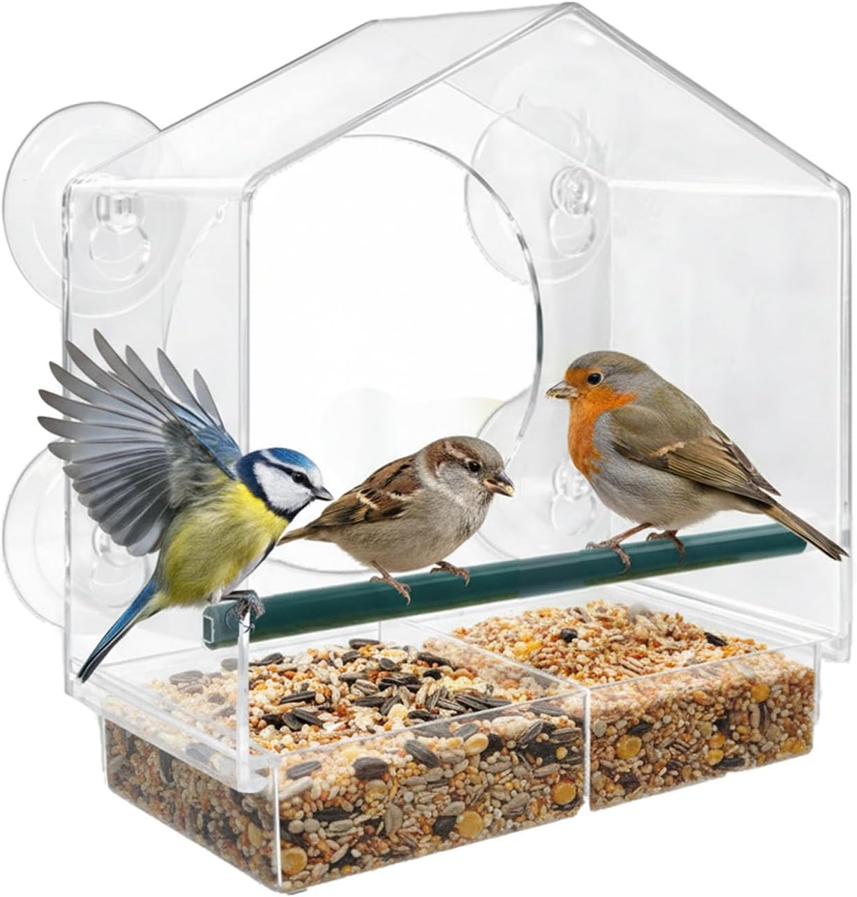 Window Bird Feeder with 4 Strong Suction Cups, Squirrel Proof Clear Bird Feeder for Outdoor Bird Watching