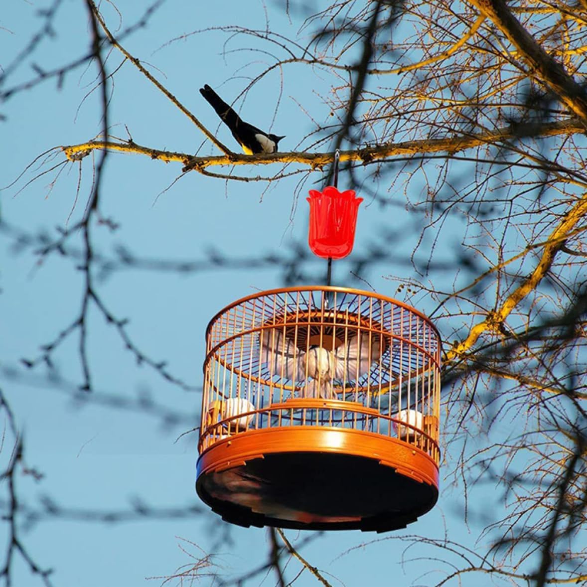 Ant Guard for Hummingbird Feeder Ant Moat Hook with Brush Bird Feeder Accessory for Outdoor Oriole Feeder 3Sets Red Spring Gardening Tool