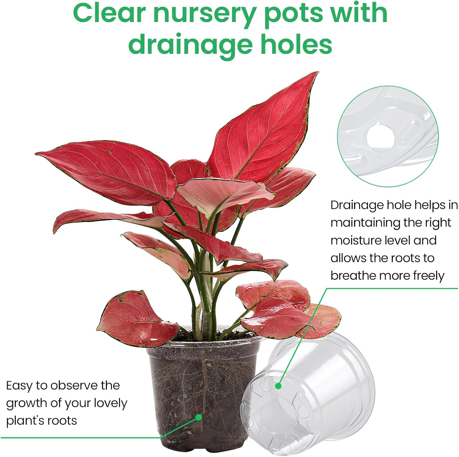 36 Packs 5/4/3.5 Inch Reinforced Clear Nursery Pots with Drainage Hole