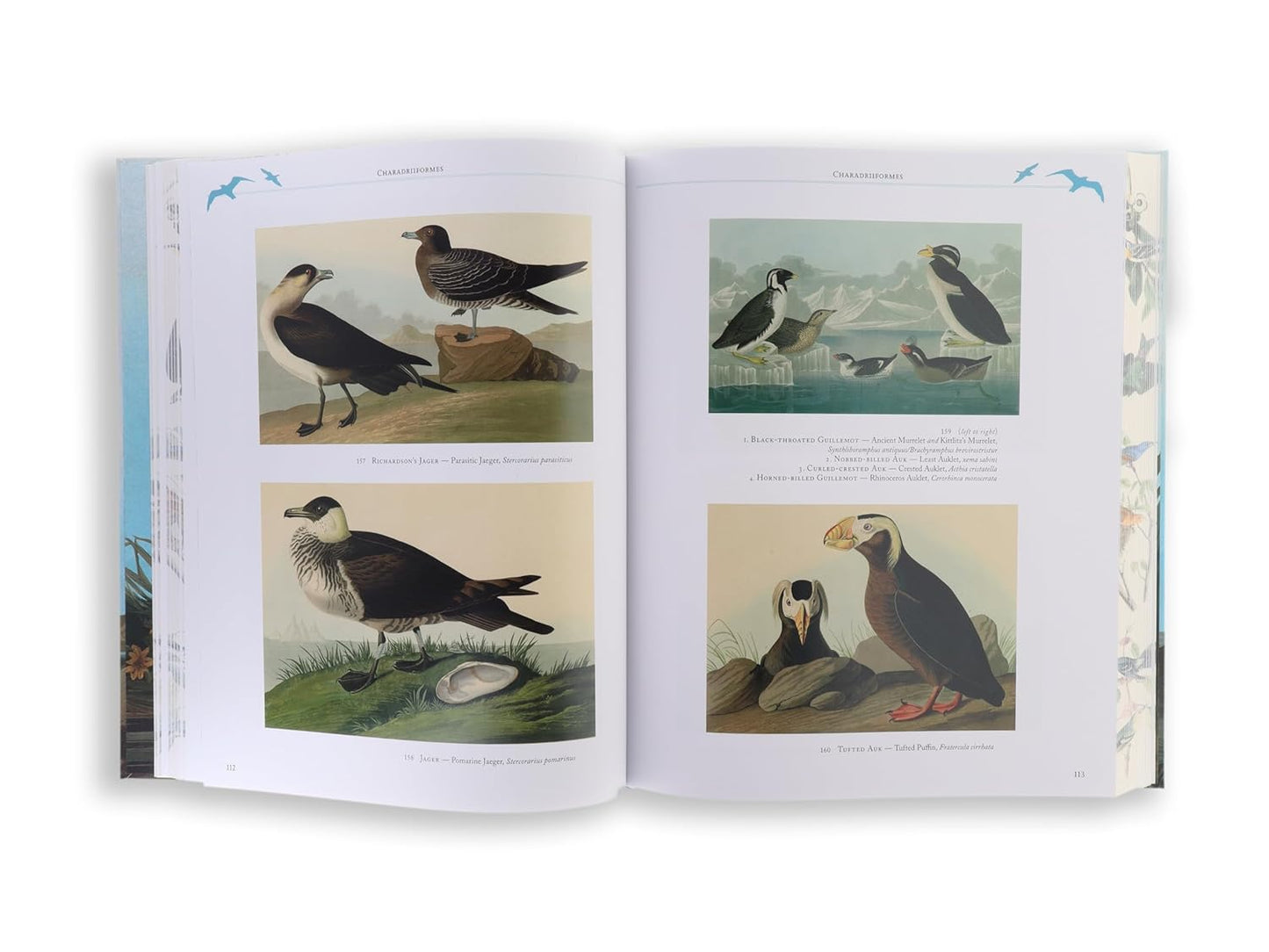 Audubon's Birds of America (Arcturus Epic Classics)