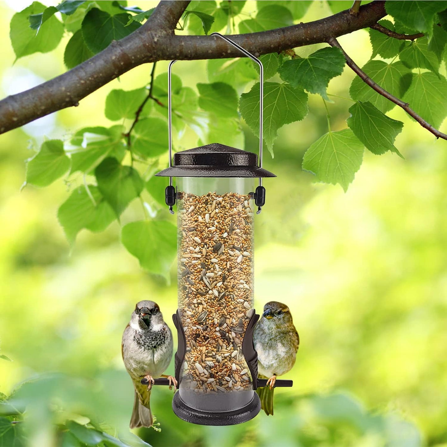 MIXXIDEA Wild Bird Feeders for Outdoors Hanging 2 Pack Stainless Steel