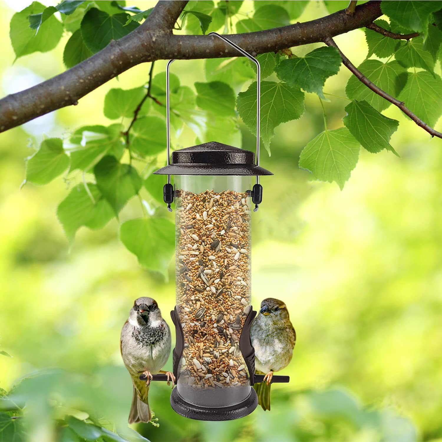 MIXXIDEA Wild Bird Feeders for Outdoors Hanging 2 Pack Stainless Steel