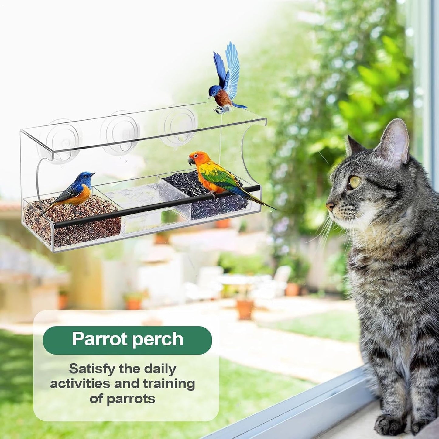Window Bird Feeder, Suction Cup Food Box, Acrylic Clear Detachable Feeder for Indoor, Deck Patio Balcony Observation, Spill-Proof Feeding Station, Kids Bird Watching Accessory