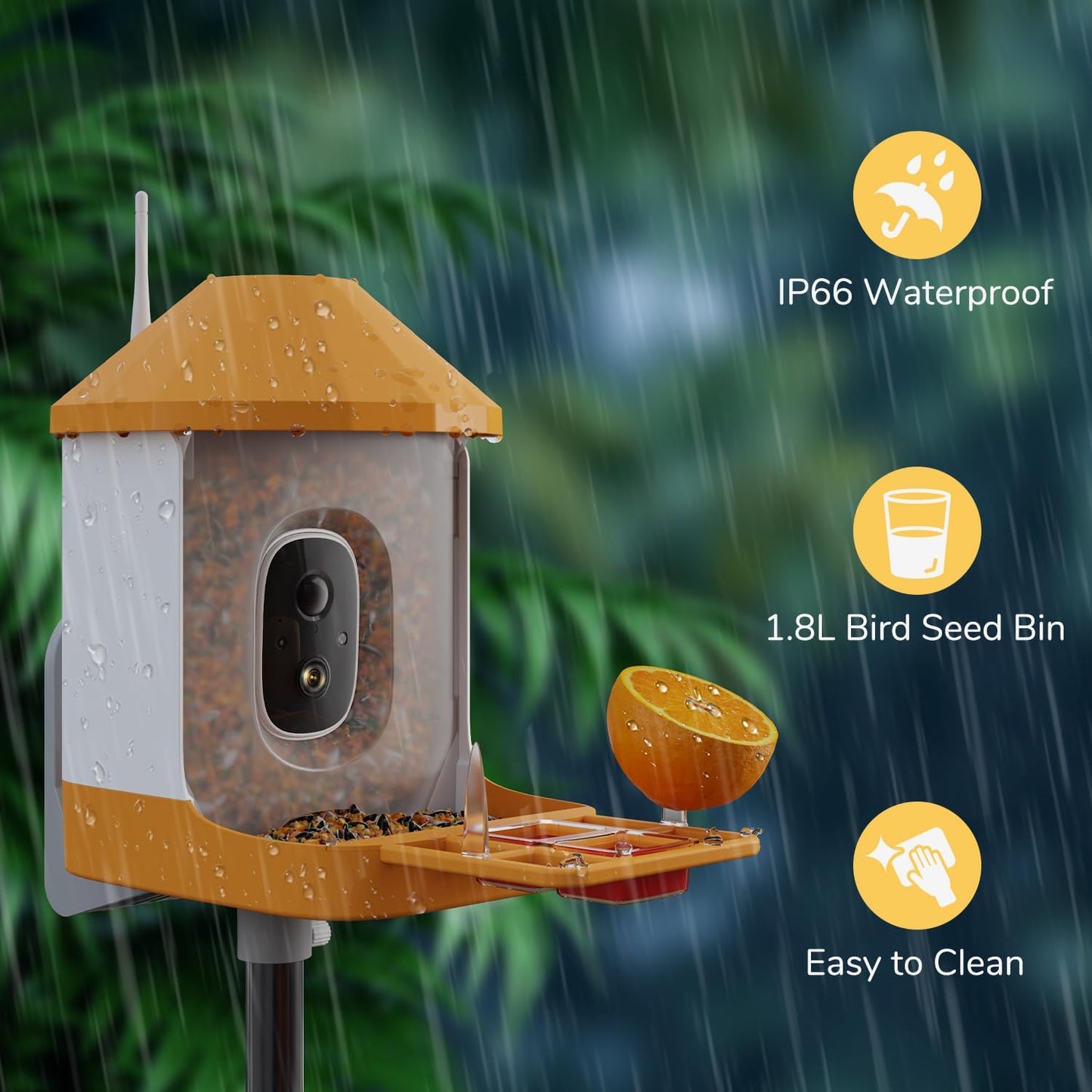 Dzees Smart Bird Feeder with Camera, 32G Card, AI Identify Birds Species, Capture Video, Instant Notifications, Live View, Solar Powered, for Family, Ideal Gifts for Bird Lovers