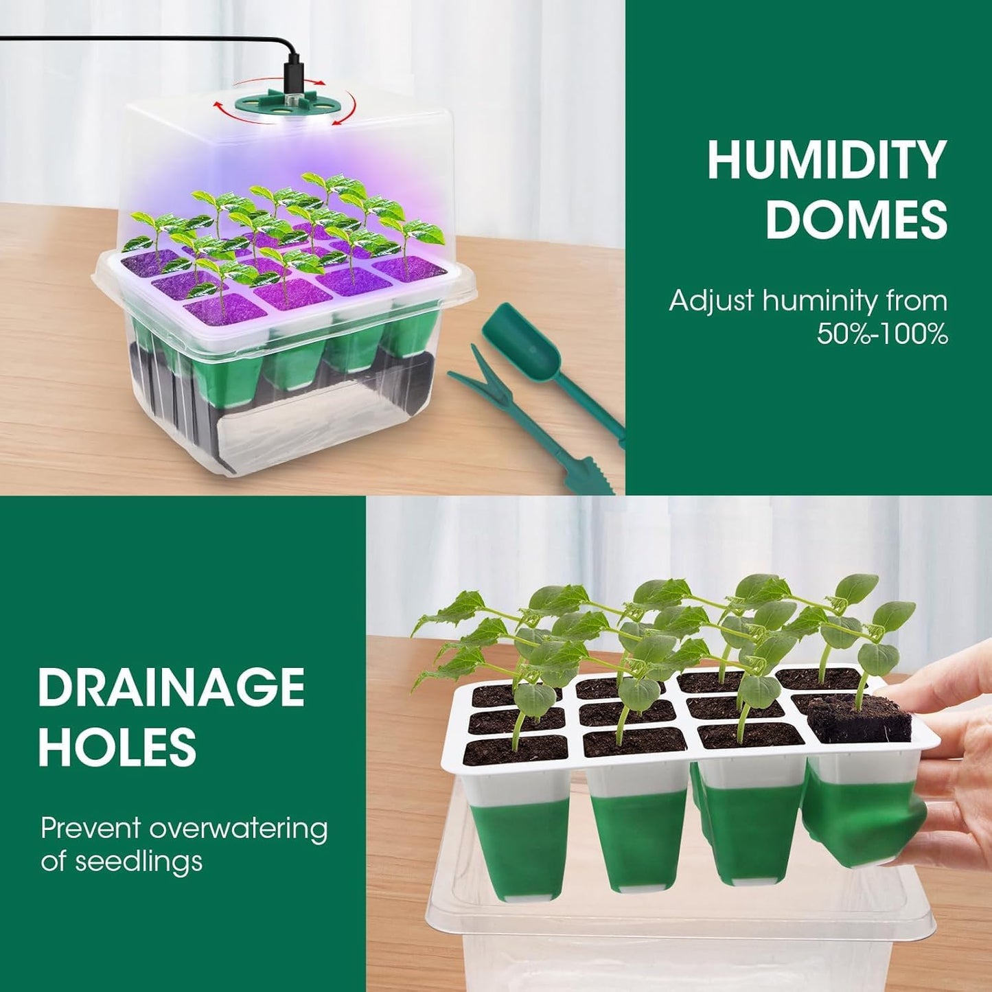 Seed Starter Tray with Grow Light,5 Pack 60 Cells Seedling Tray Kit Re