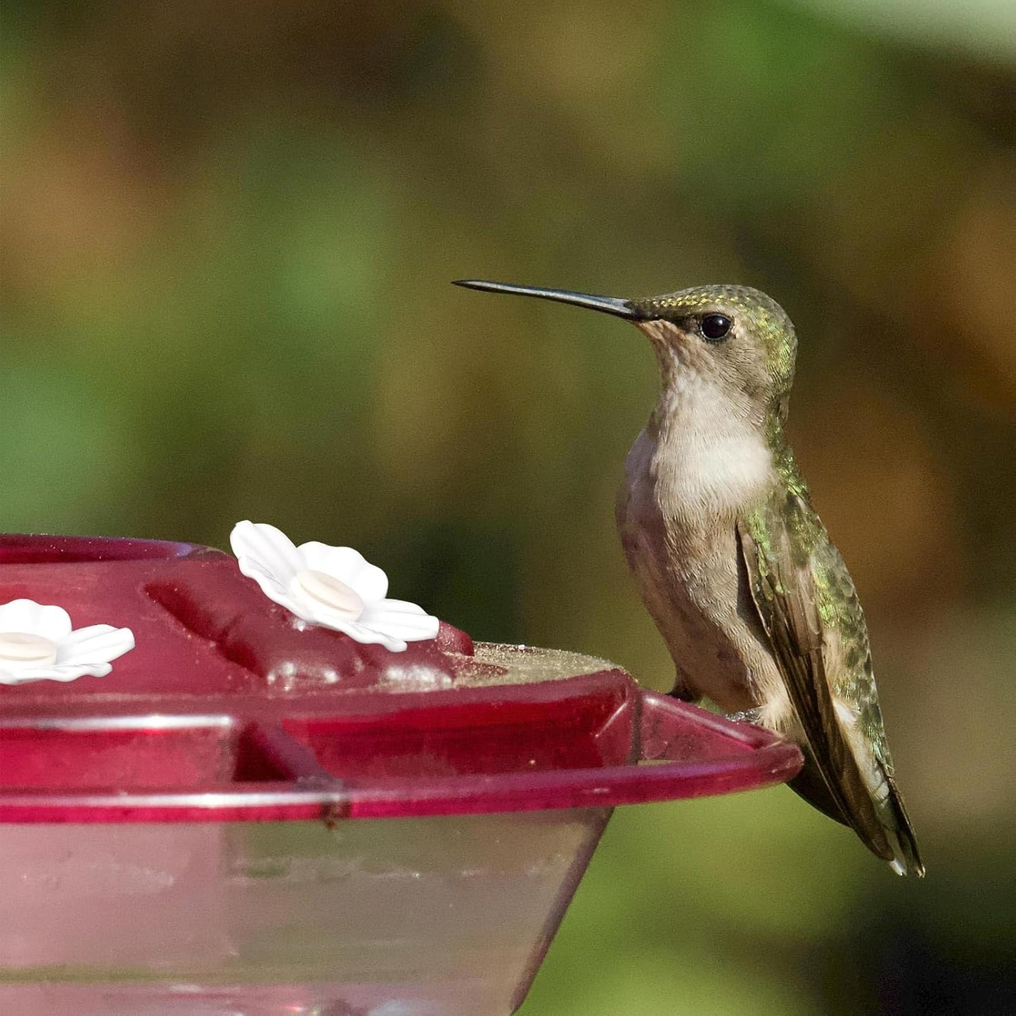 30pcs Hummingbird Feeder Replacement Flowers，Replacement Feeding Ports Bird Feeder Parts for Hummingbird Feeders (White)