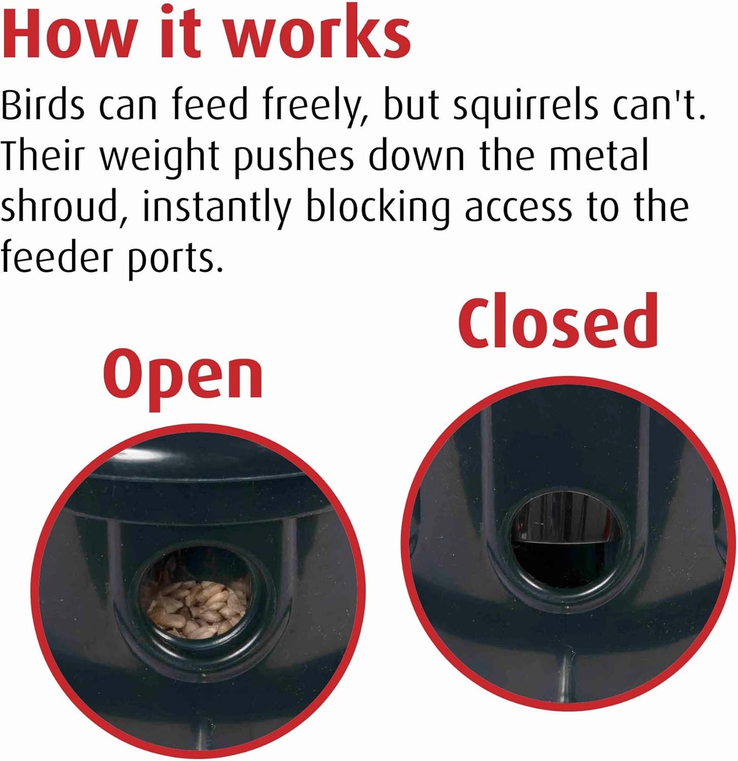 Squirrel Buster Nut Feeder Squirrel-Proof Bird Feeder for Nuts and Fruit, Two Meshes & Squirrel Buster Plus Squirrel-Proof Bird Feeder w/Cardinal Ring and 6 Feeding Ports, 5.1-Pound Seed Capacity