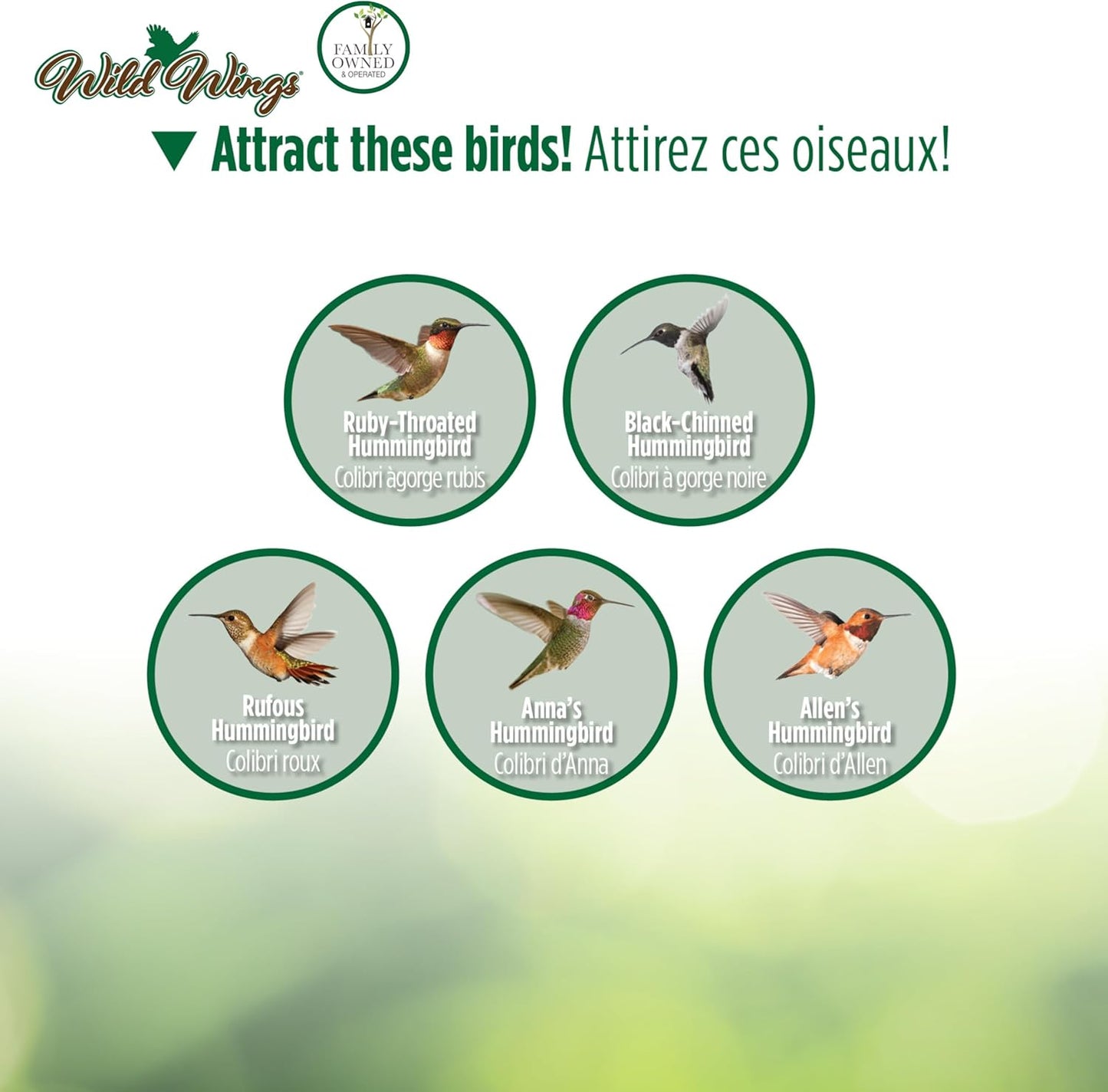Nature's Way Brid Products WWGHF1 Top Fill Hummingbird Feeder